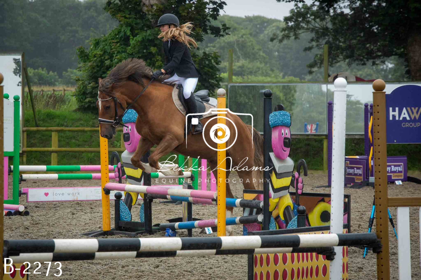 Home Farm Jumping 23rd July