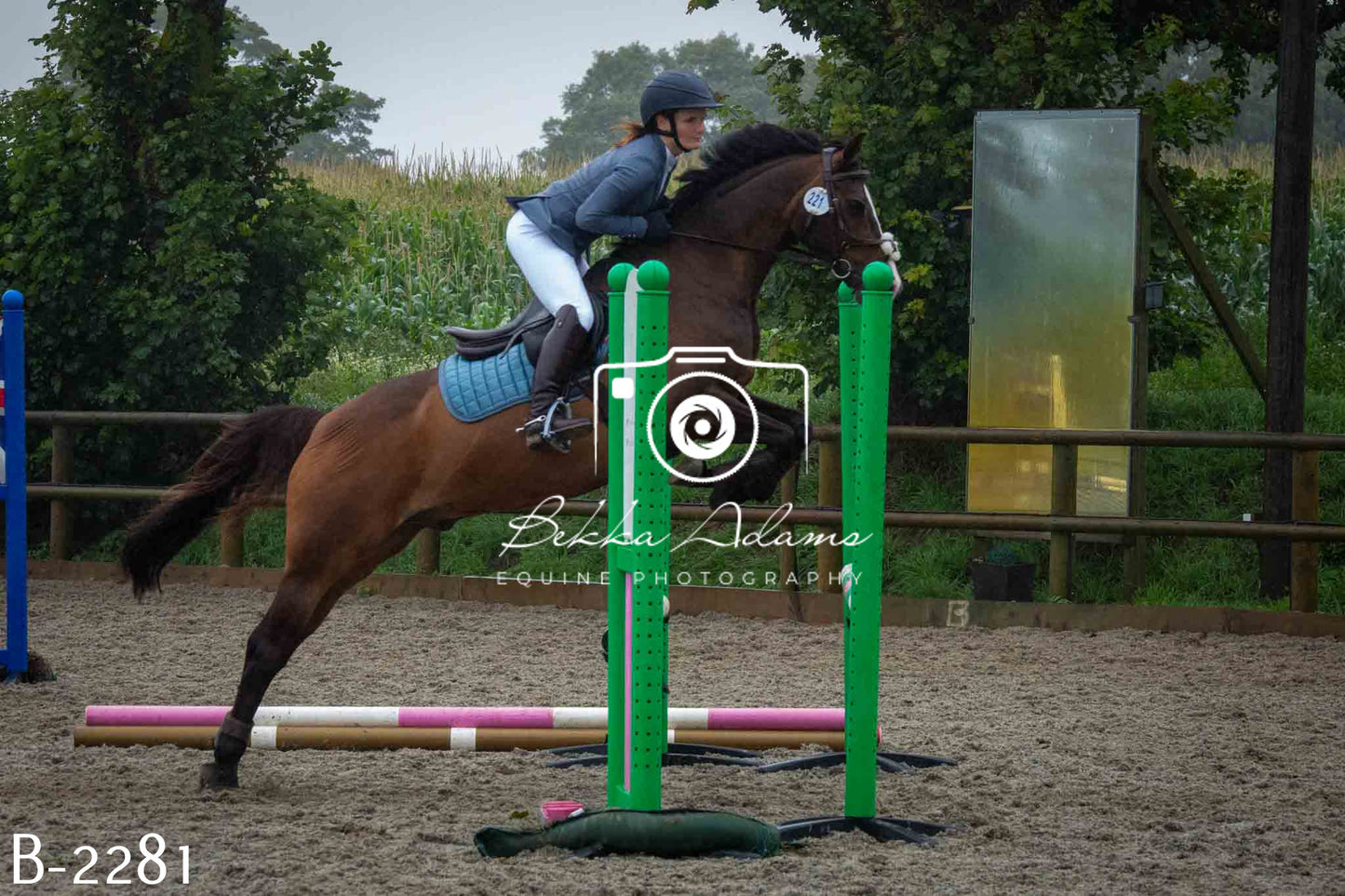 Home Farm Jumping 23rd July