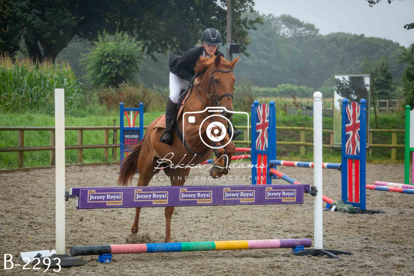 Home Farm Jumping 23rd July