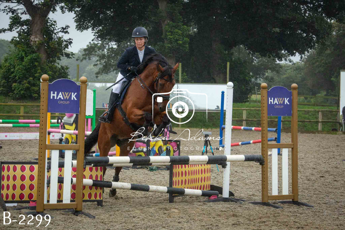Home Farm Jumping 23rd July