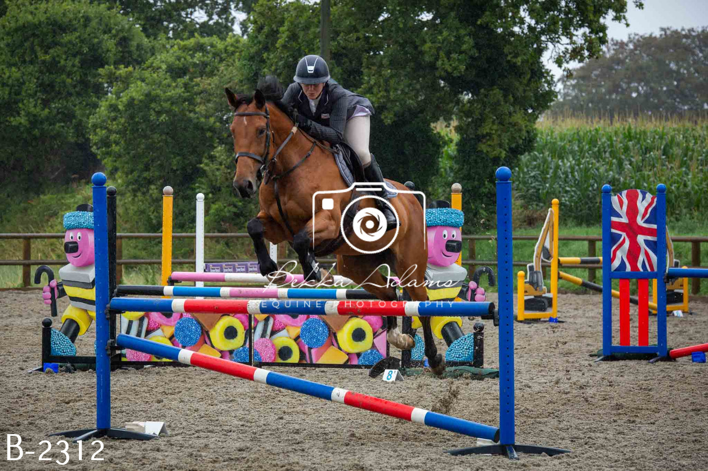 Home Farm Jumping 23rd July