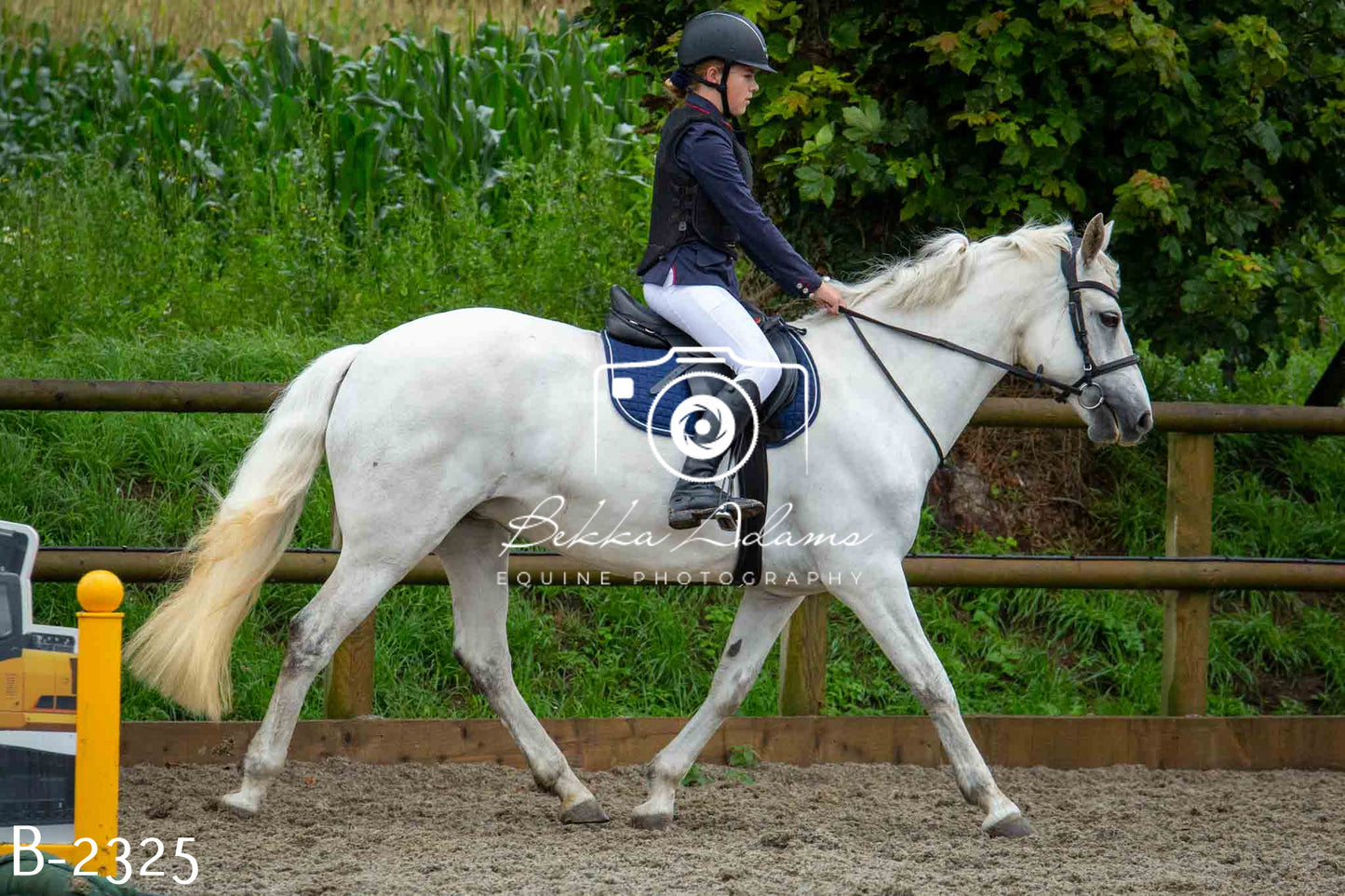 Home Farm Jumping 23rd July