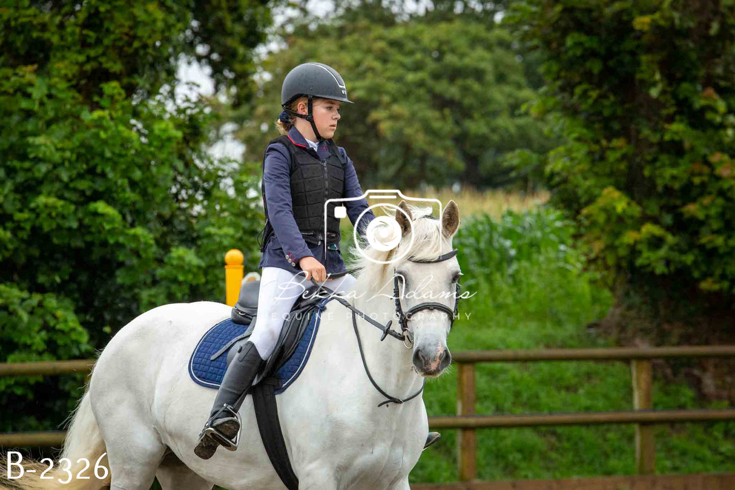 Home Farm Jumping 23rd July