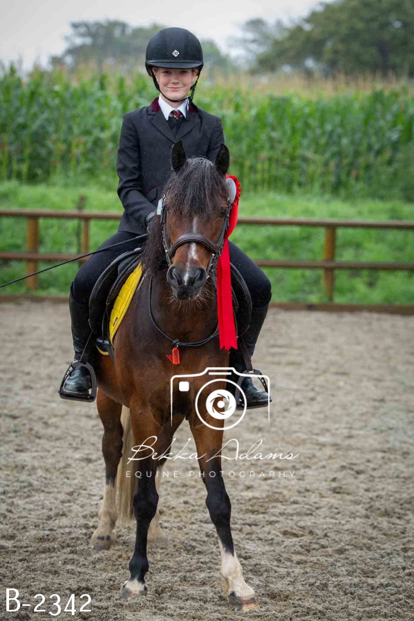 Home Farm Jumping 23rd July