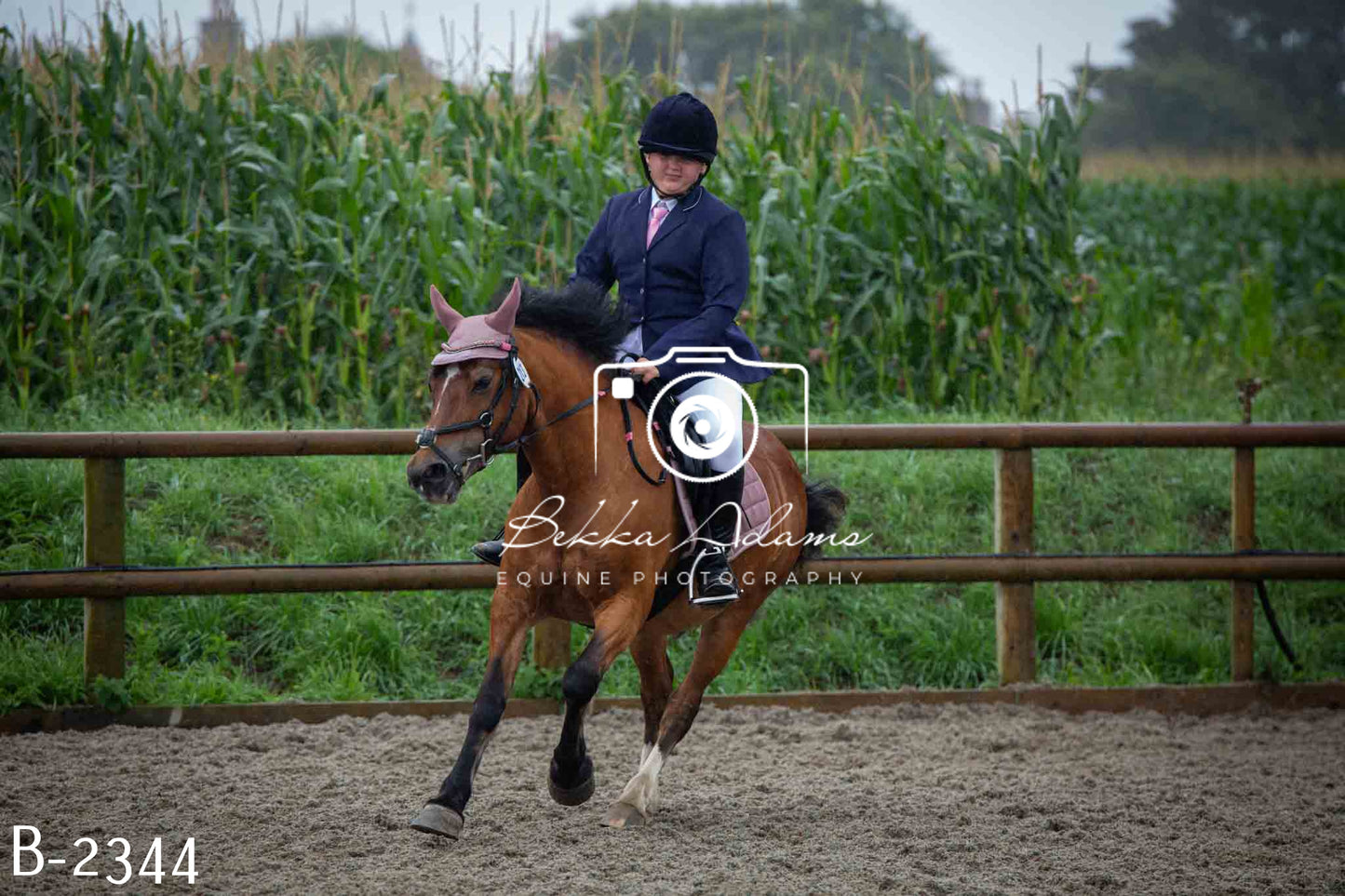 Home Farm Jumping 23rd July