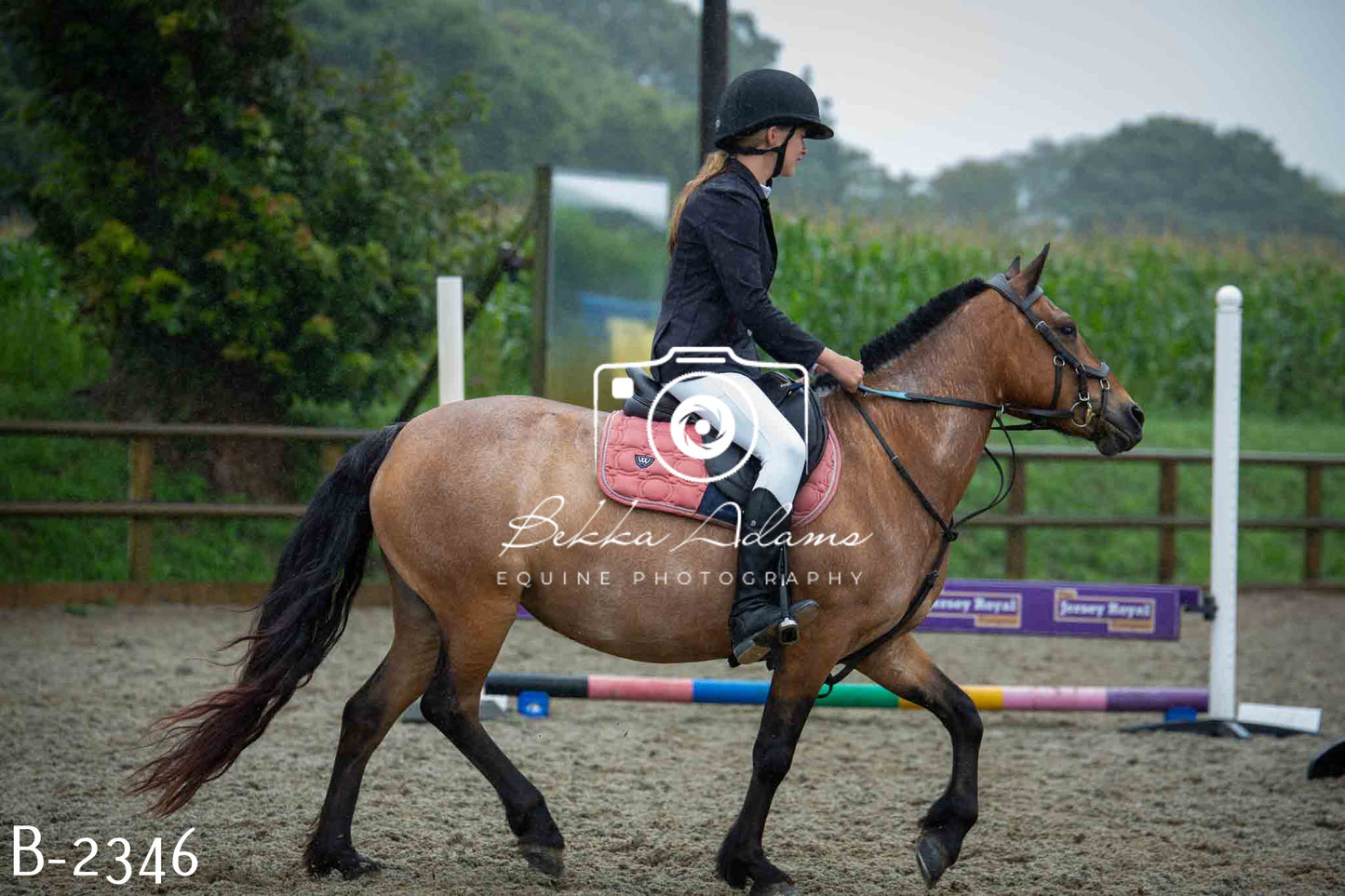Home Farm Jumping 23rd July