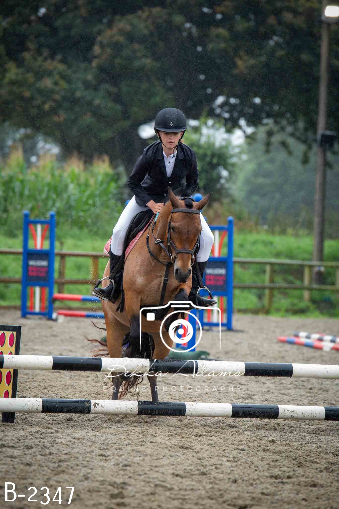 Home Farm Jumping 23rd July