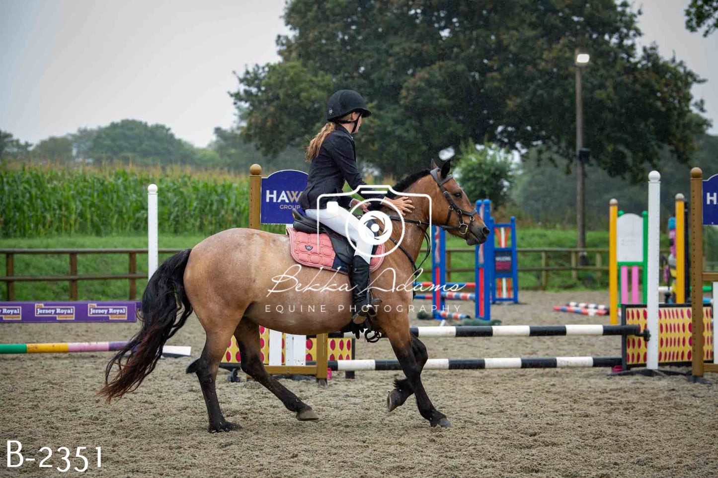 Home Farm Jumping 23rd July