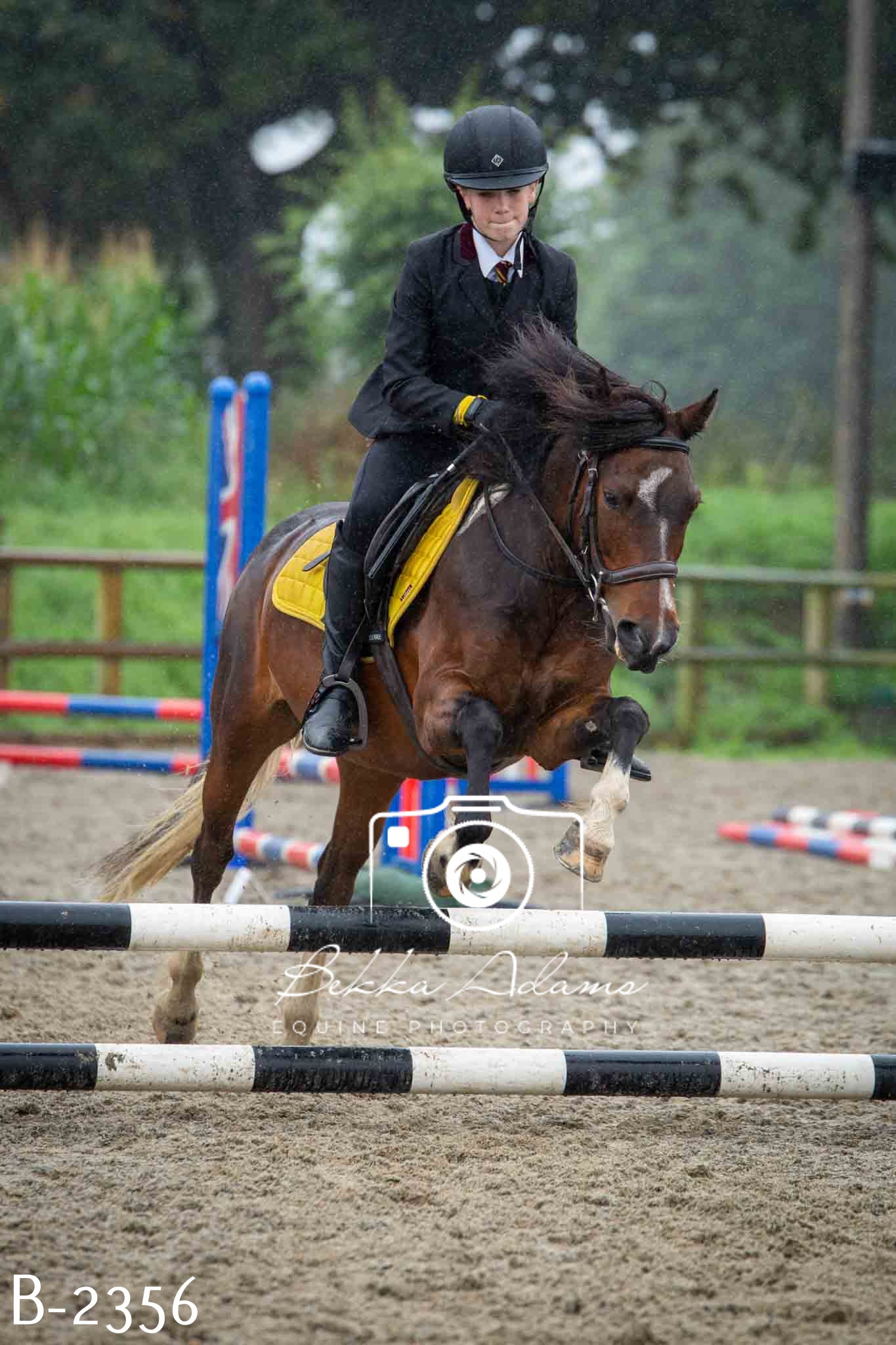 Home Farm Jumping 23rd July