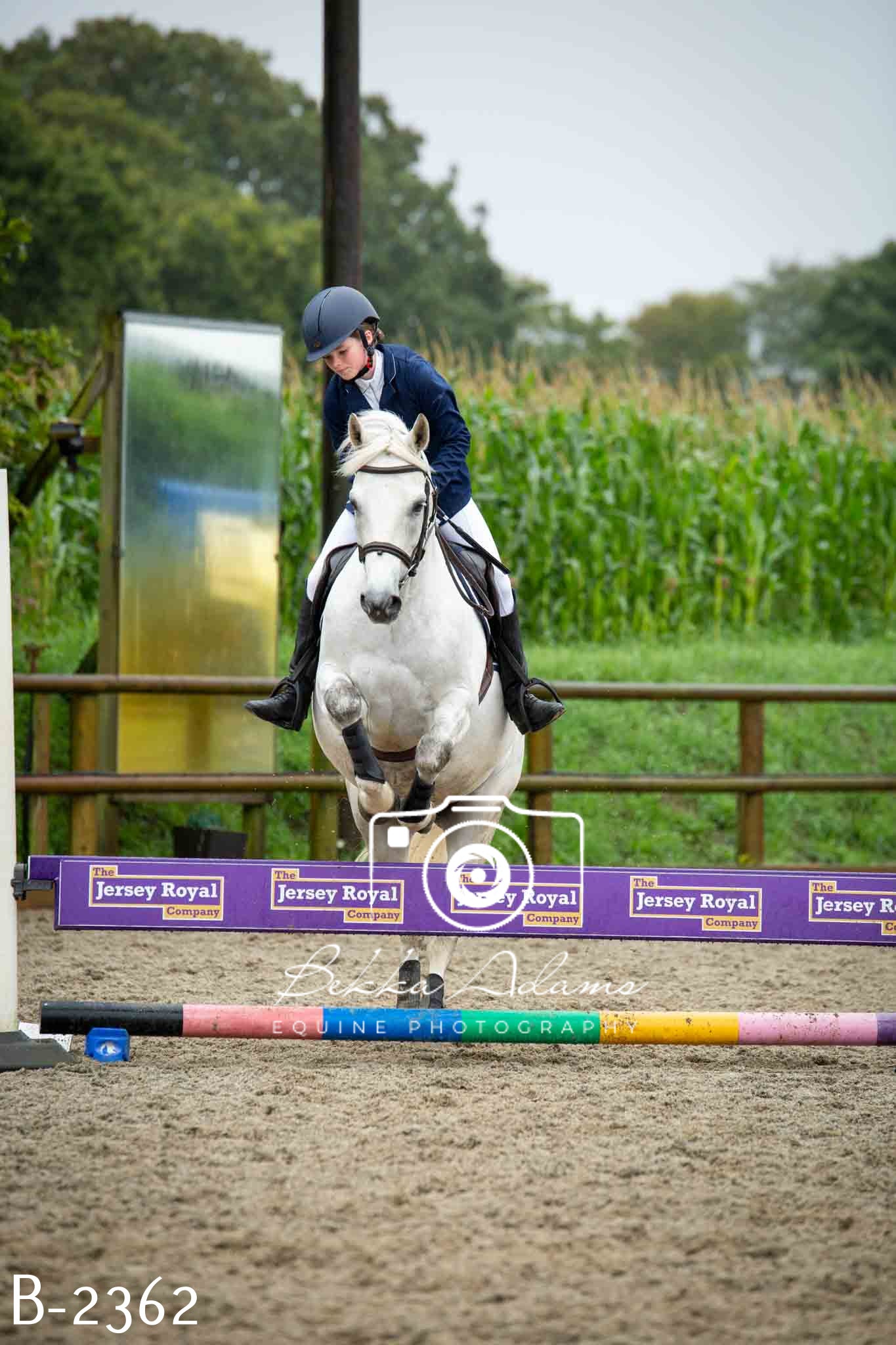 Home Farm Jumping 23rd July