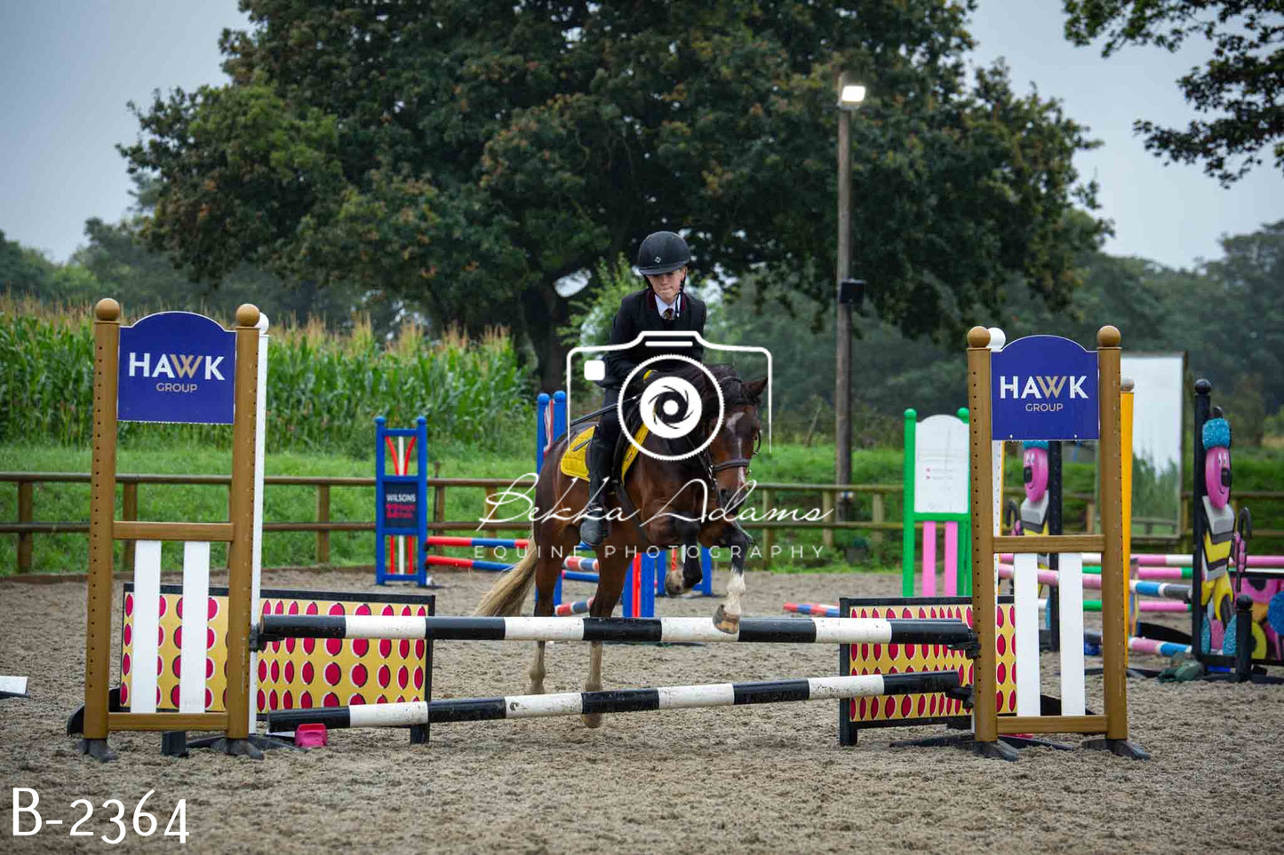Home Farm Jumping 23rd July