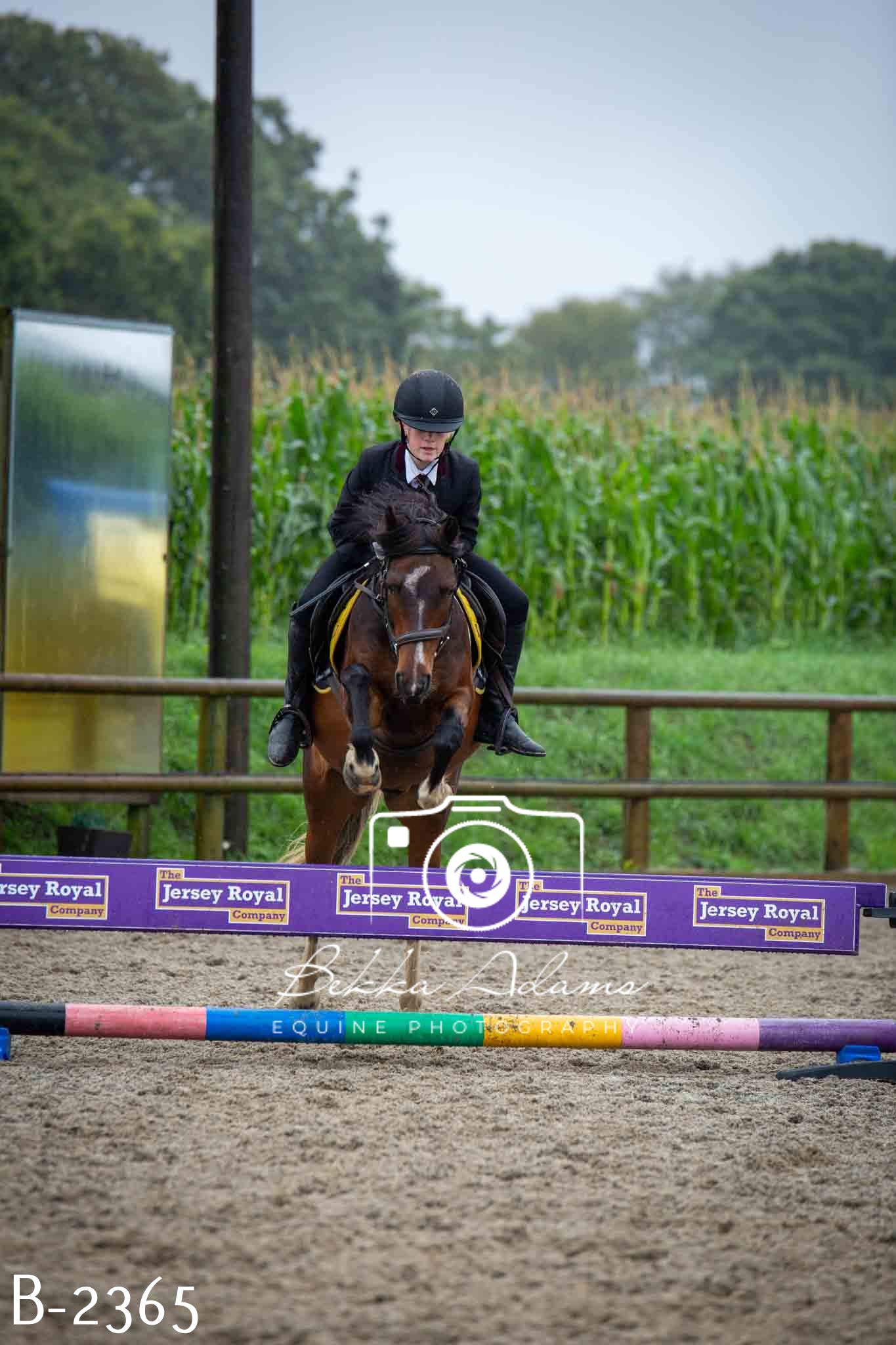 Home Farm Jumping 23rd July