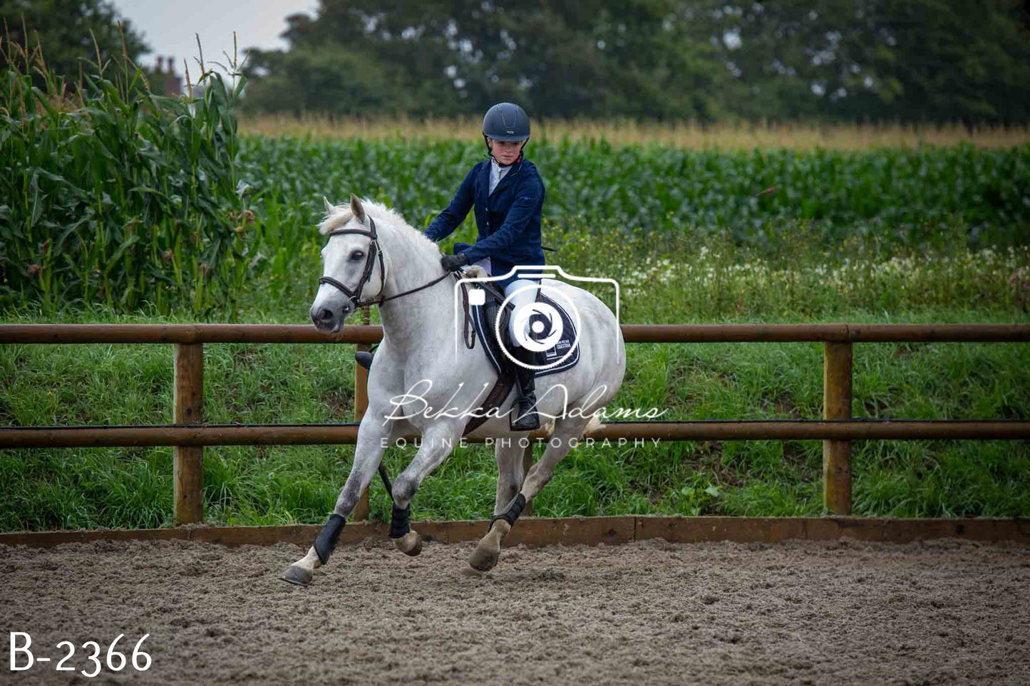 Home Farm Jumping 23rd July