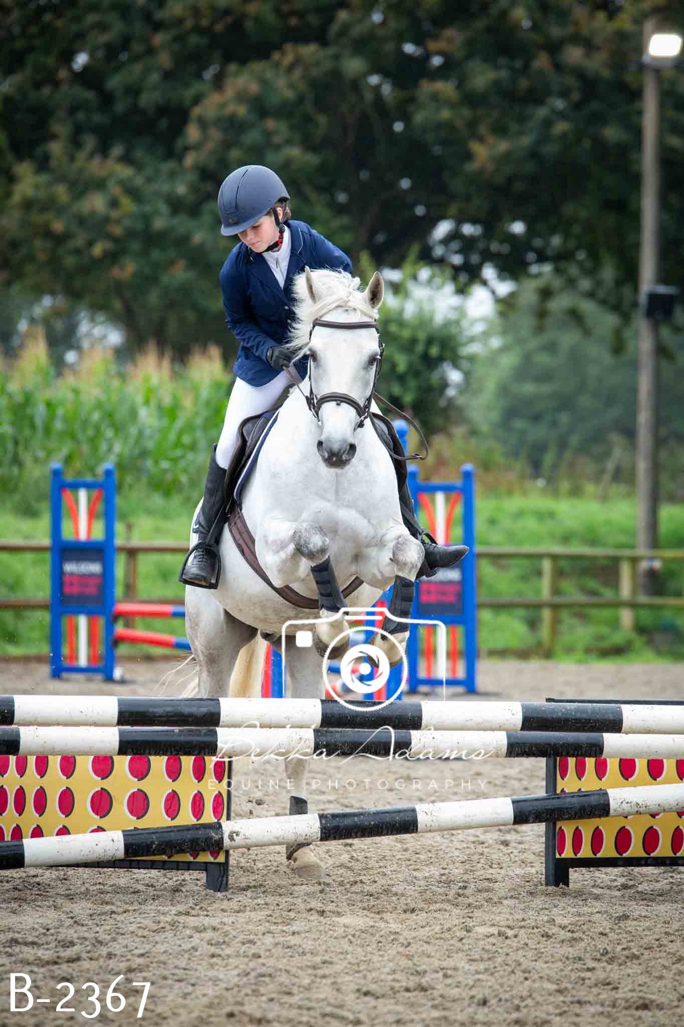 Home Farm Jumping 23rd July