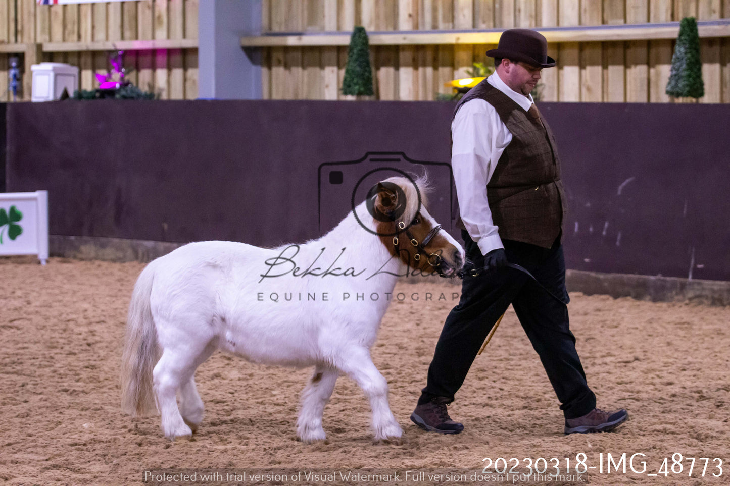 Home Farm Showing 18th March (Inhand)