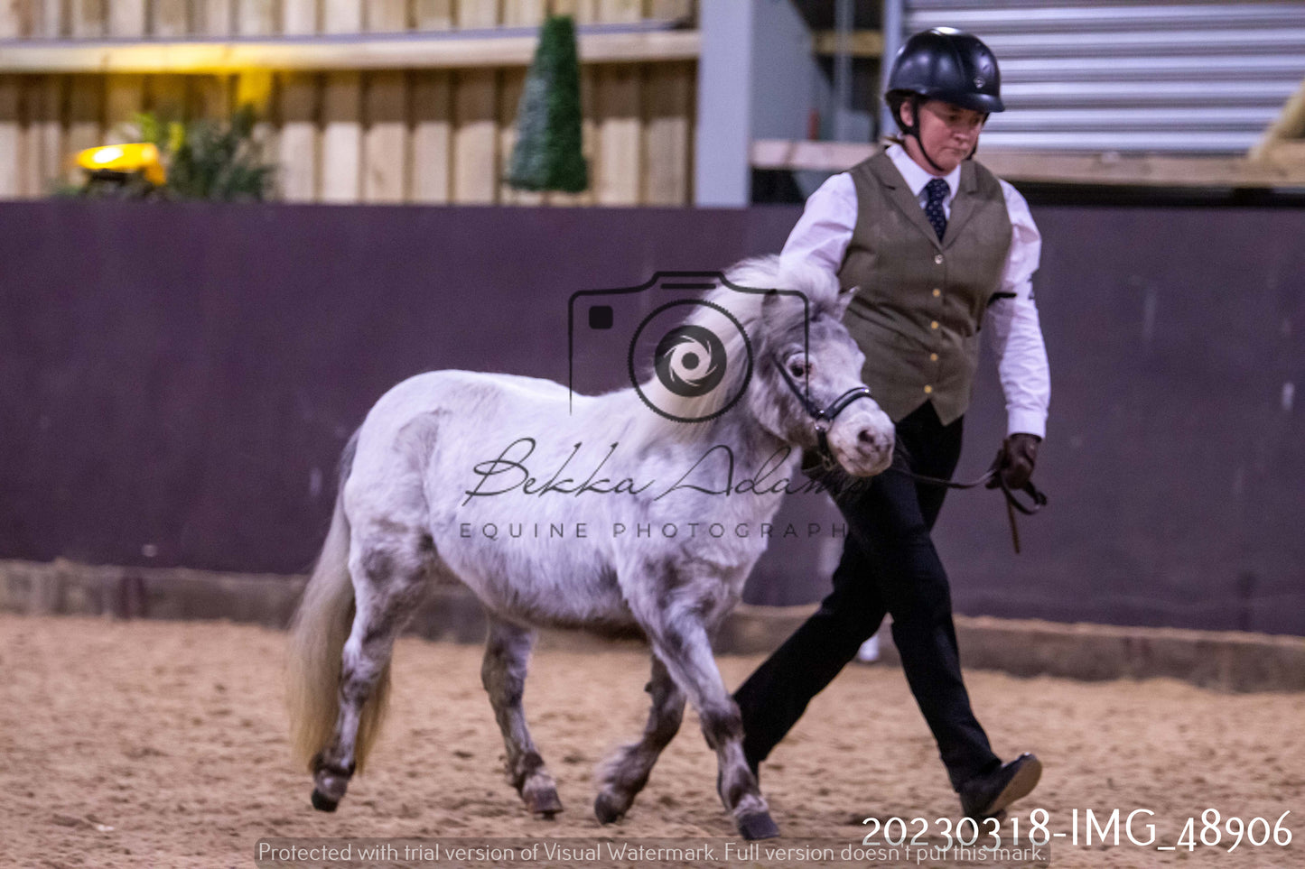 Home Farm Showing 18th March (Inhand)