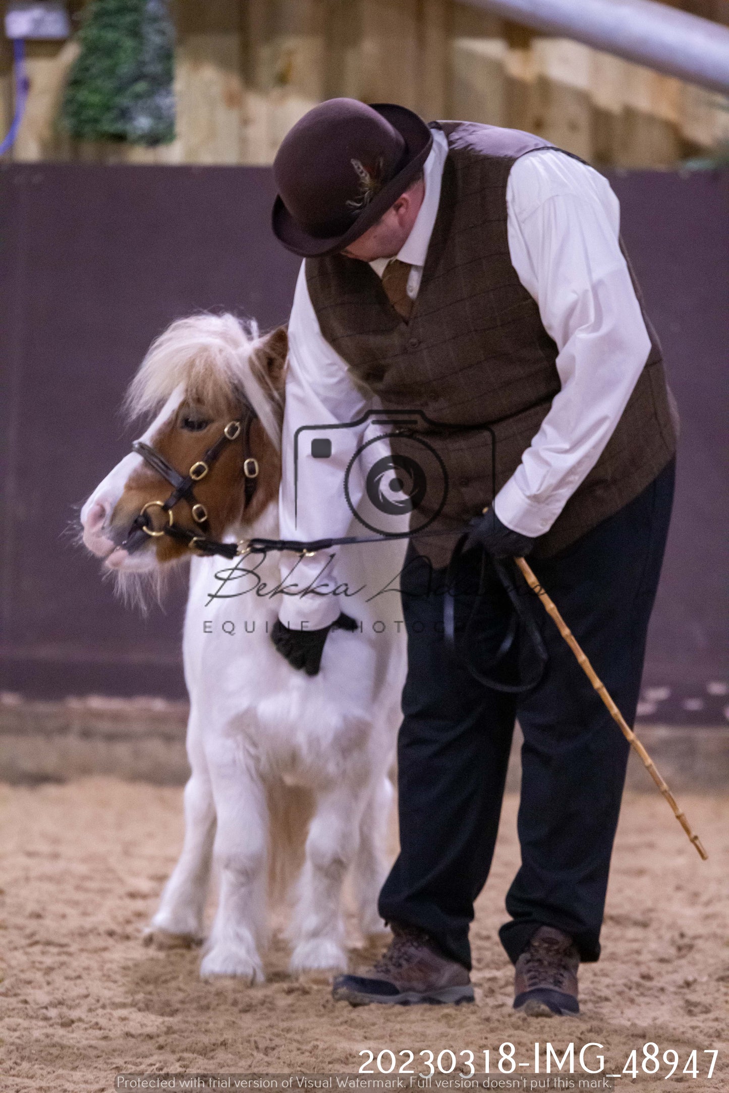Home Farm Showing 18th March (Inhand)
