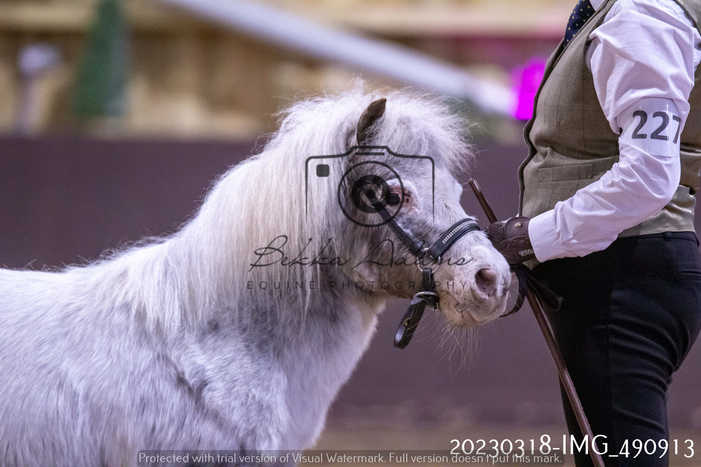 Home Farm Showing 18th March (Inhand)