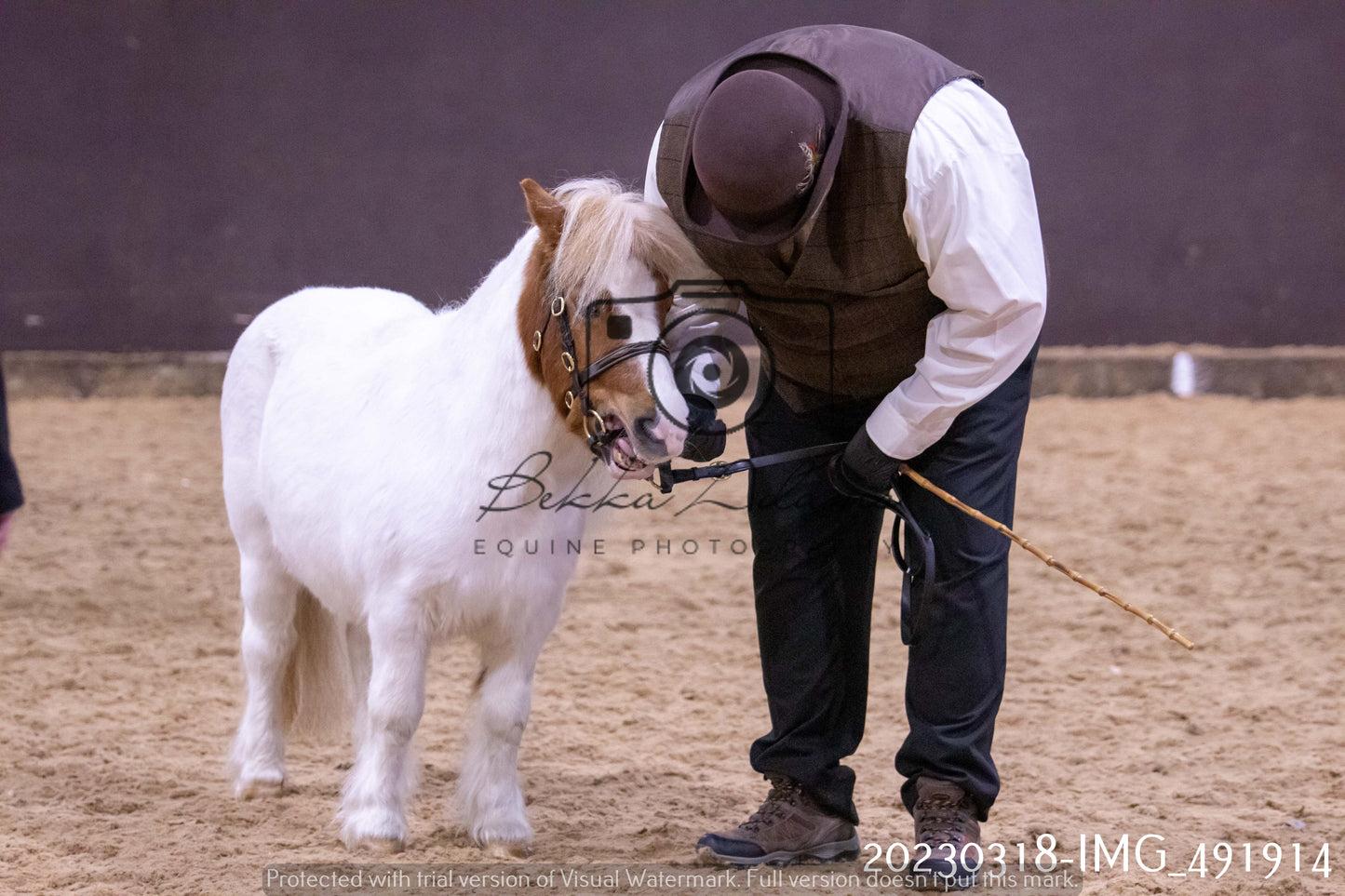Home Farm Showing 18th March (Inhand)