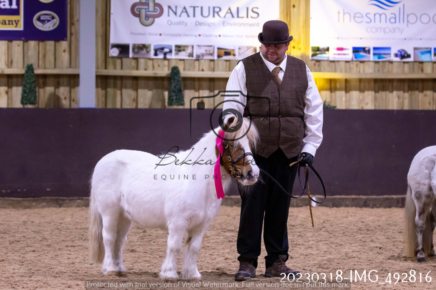 Home Farm Showing 18th March (Inhand)