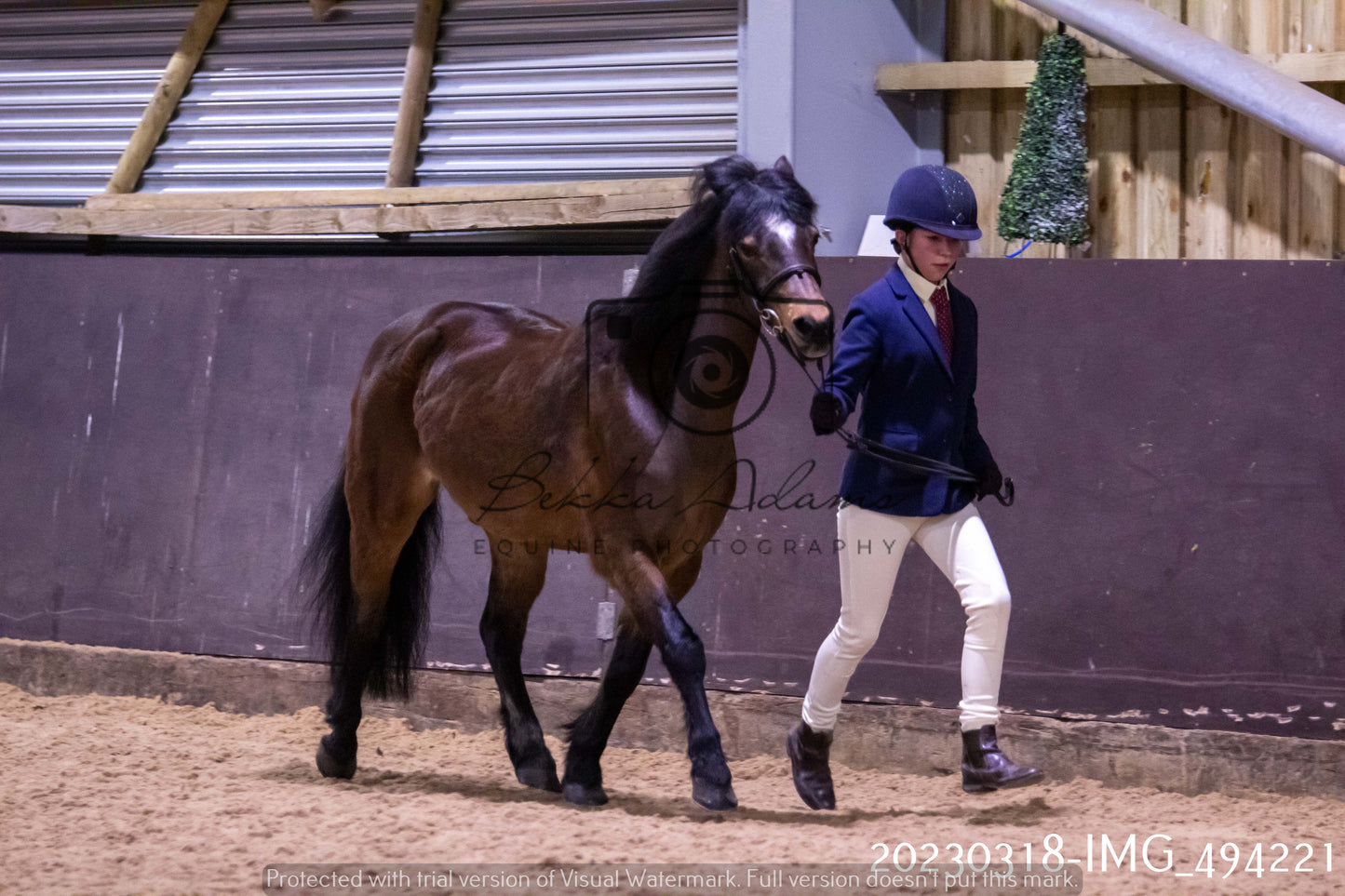 Home Farm Showing 18th March (Inhand)