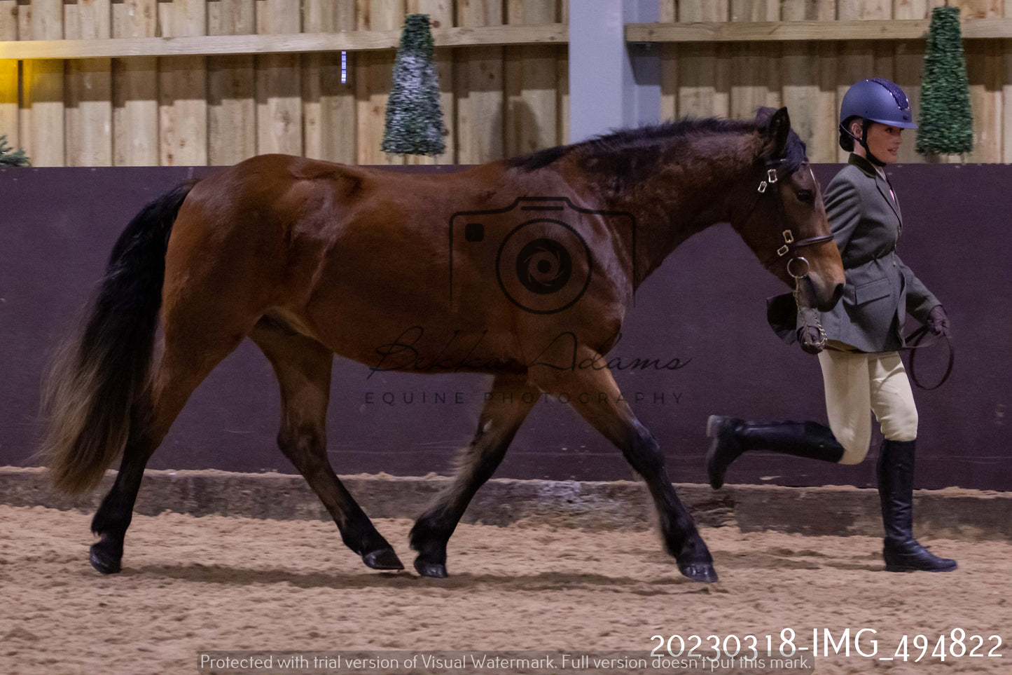 Home Farm Showing 18th March (Inhand)