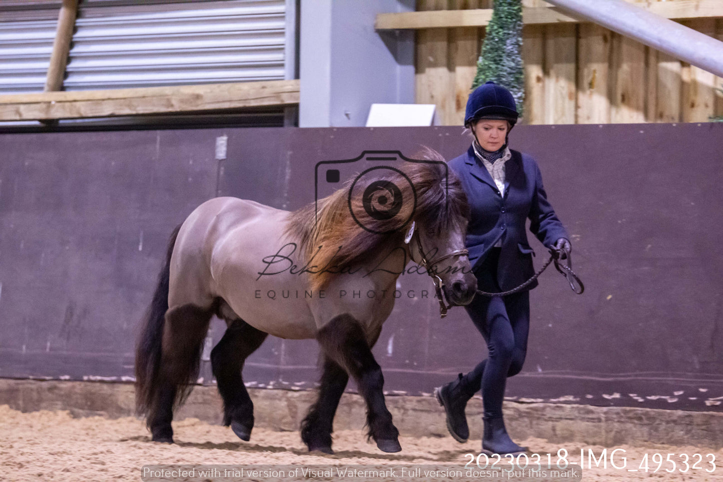 Home Farm Showing 18th March (Inhand)