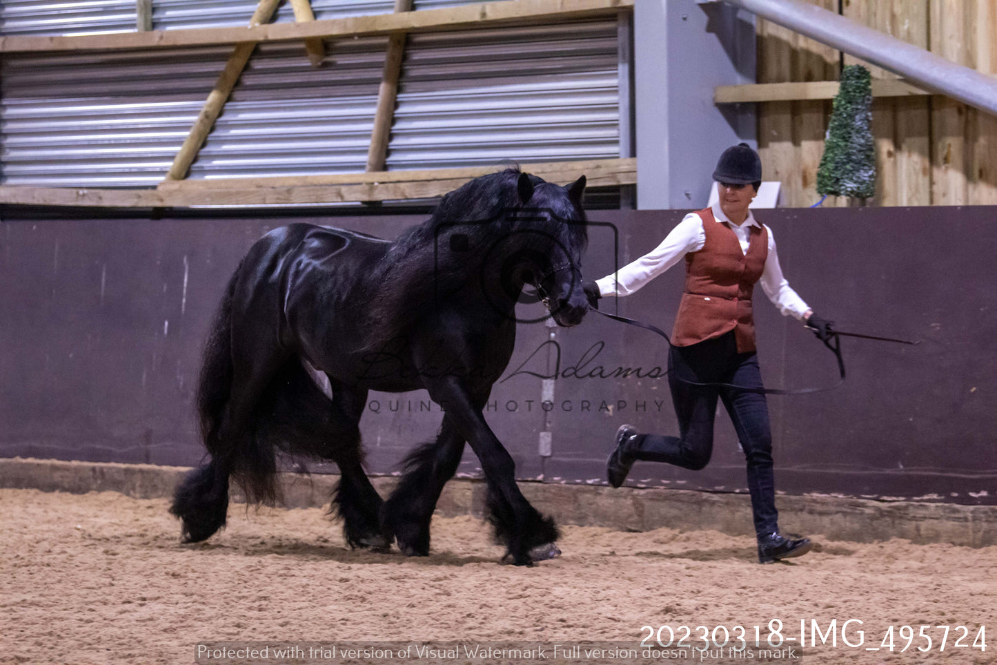 Home Farm Showing 18th March (Inhand)