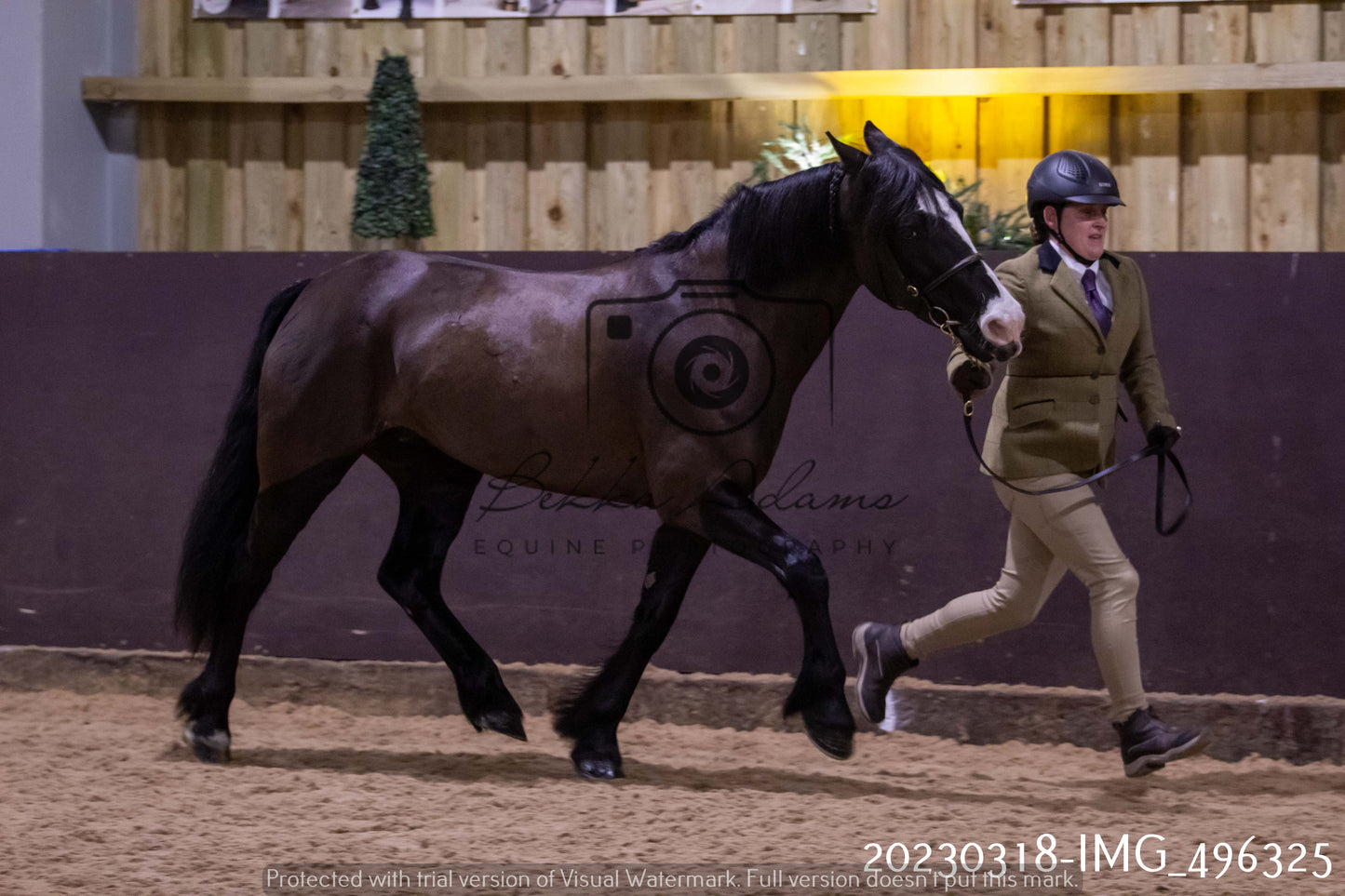 Home Farm Showing 18th March (Inhand)
