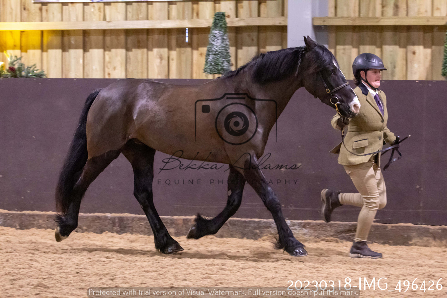 Home Farm Showing 18th March (Inhand)