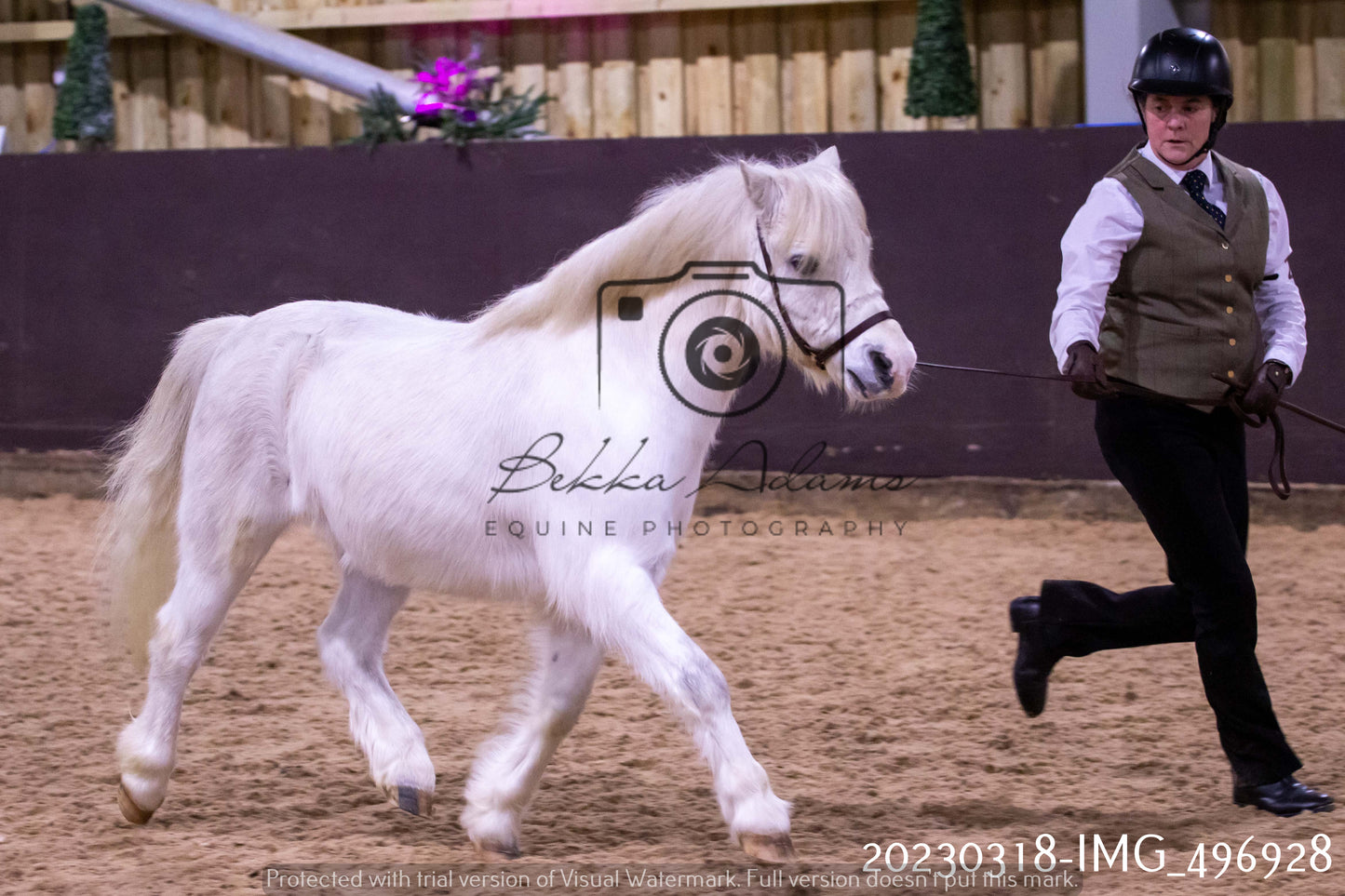 Home Farm Showing 18th March (Inhand)