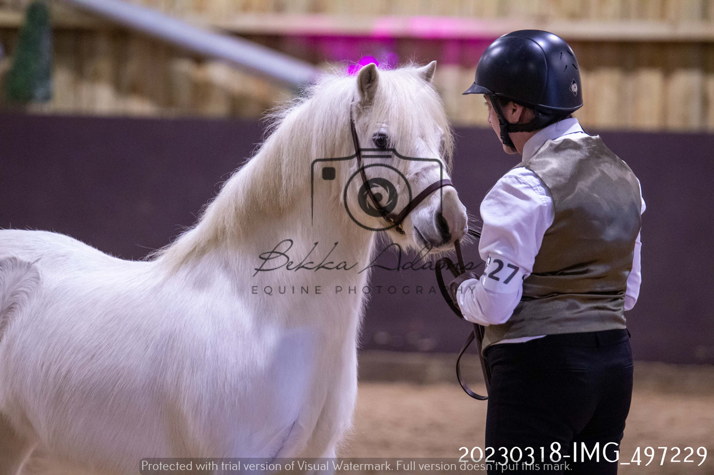 Home Farm Showing 18th March (Inhand)