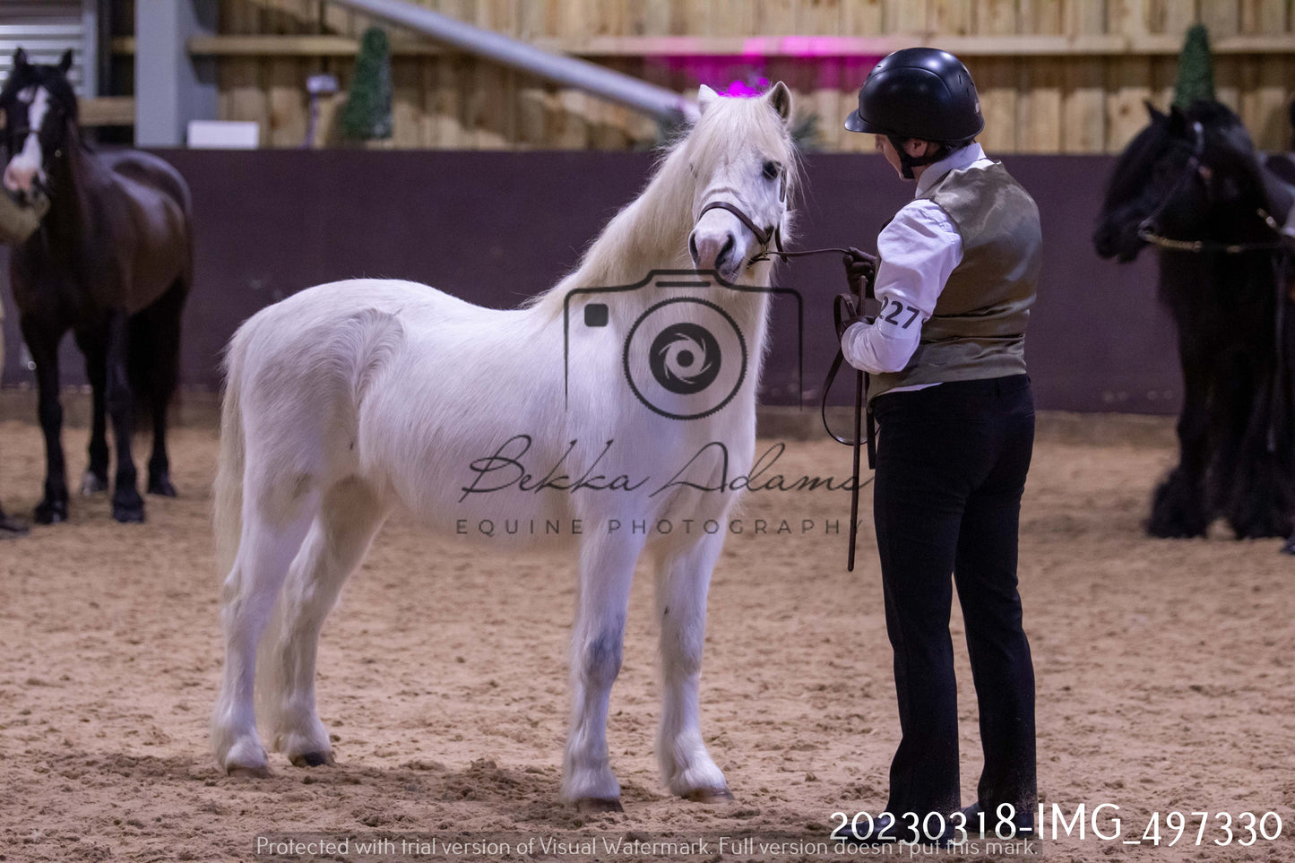 Home Farm Showing 18th March (Inhand)