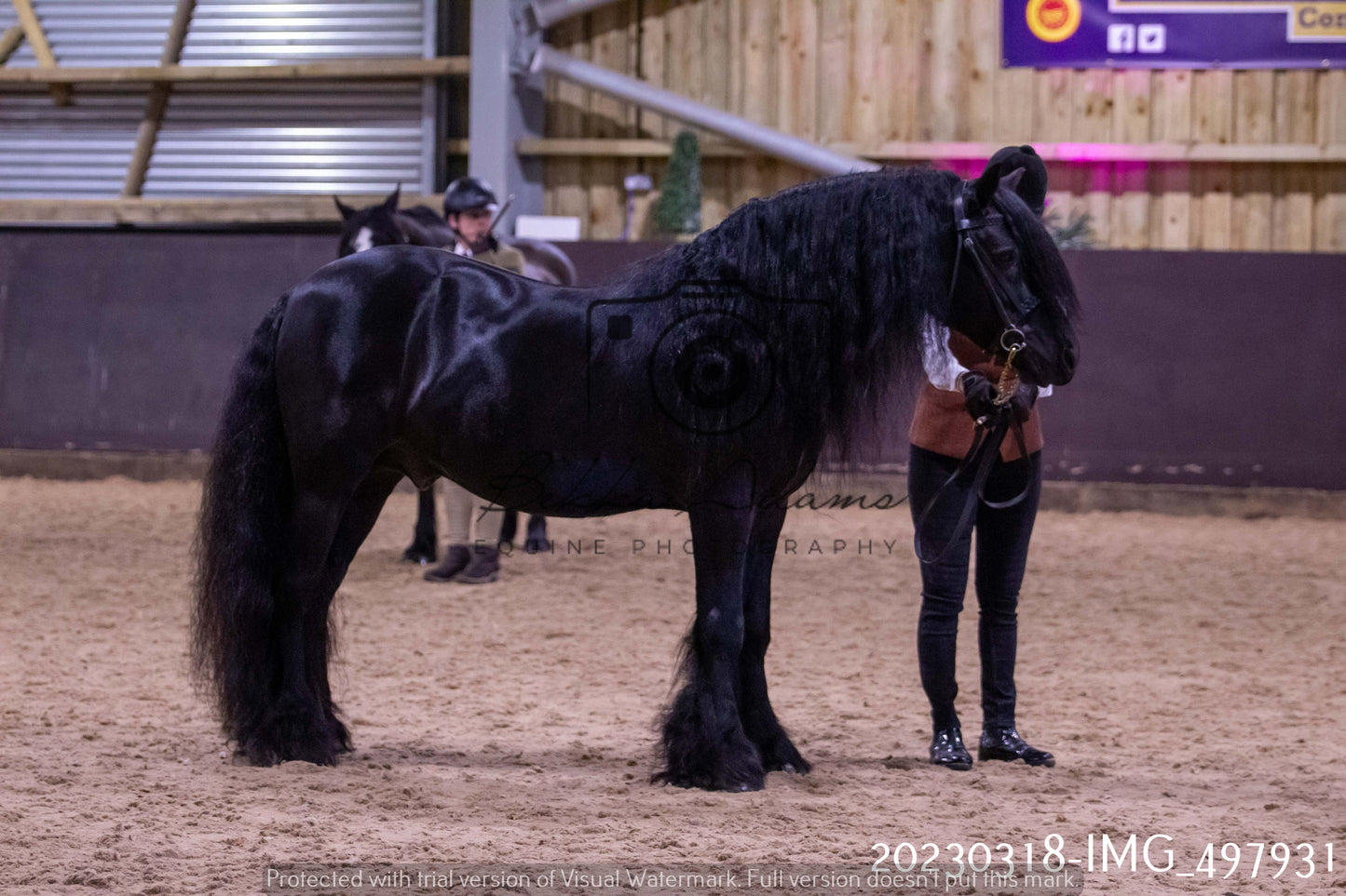 Home Farm Showing 18th March (Inhand)