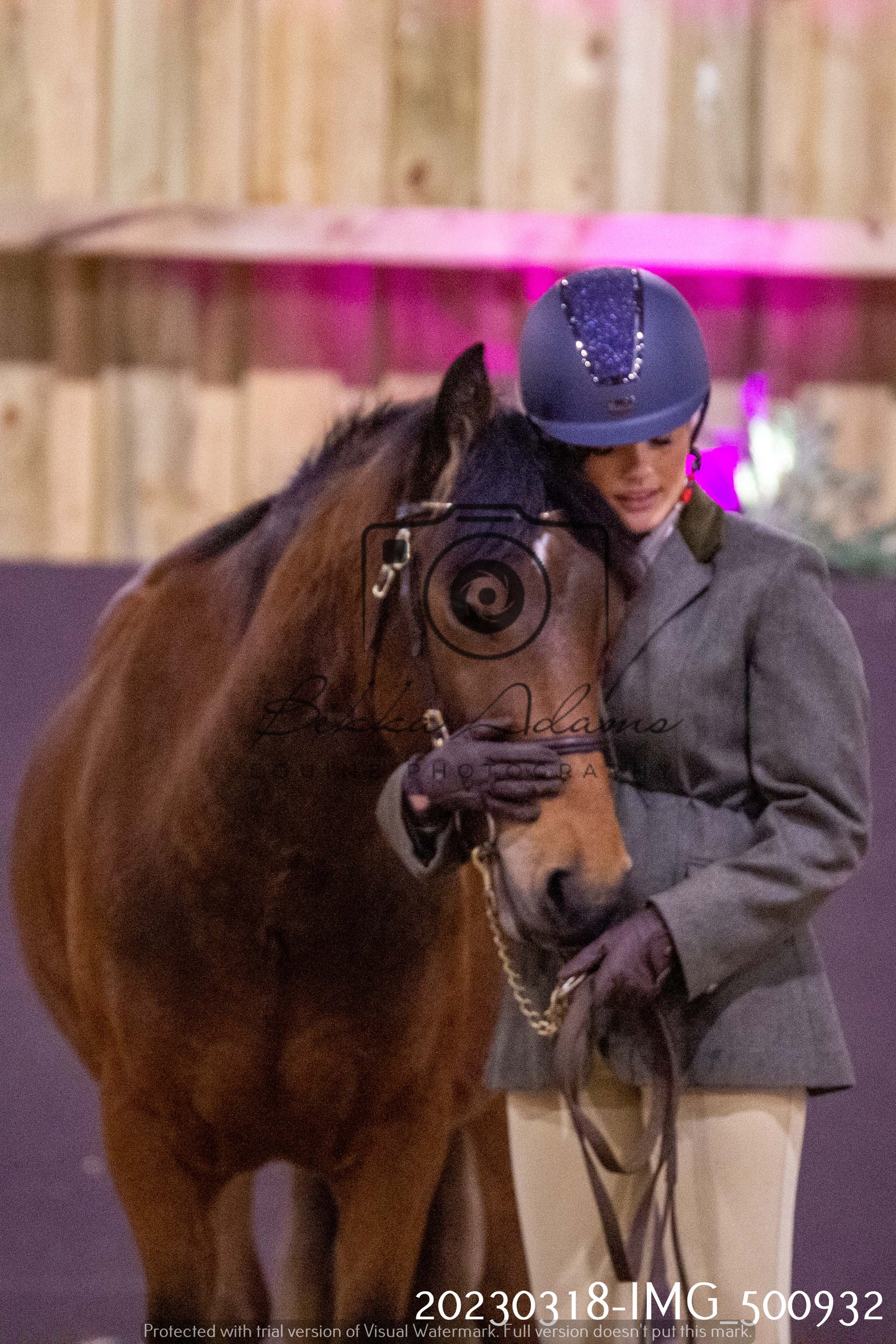 Home Farm Showing 18th March (Inhand)