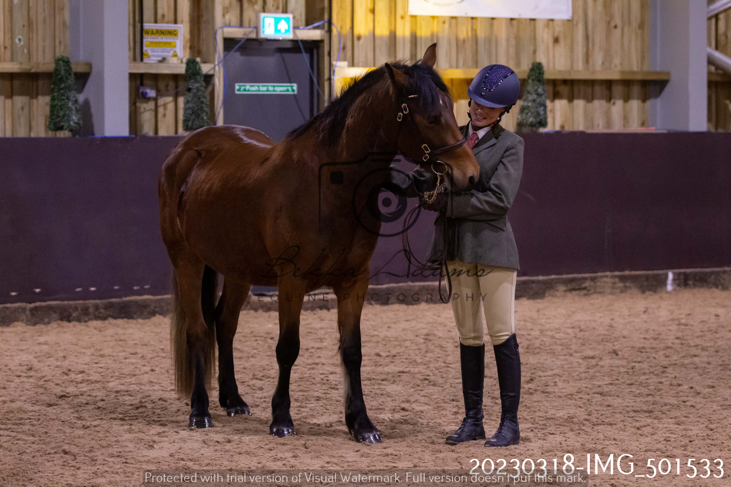 Home Farm Showing 18th March (Inhand)