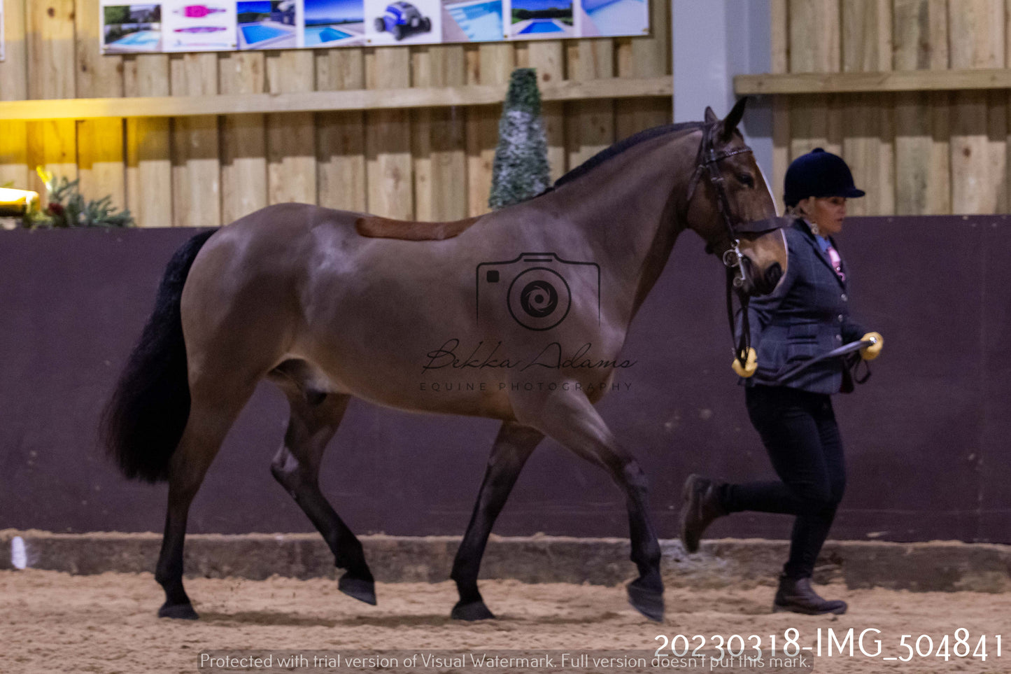Home Farm Showing 18th March (Inhand)