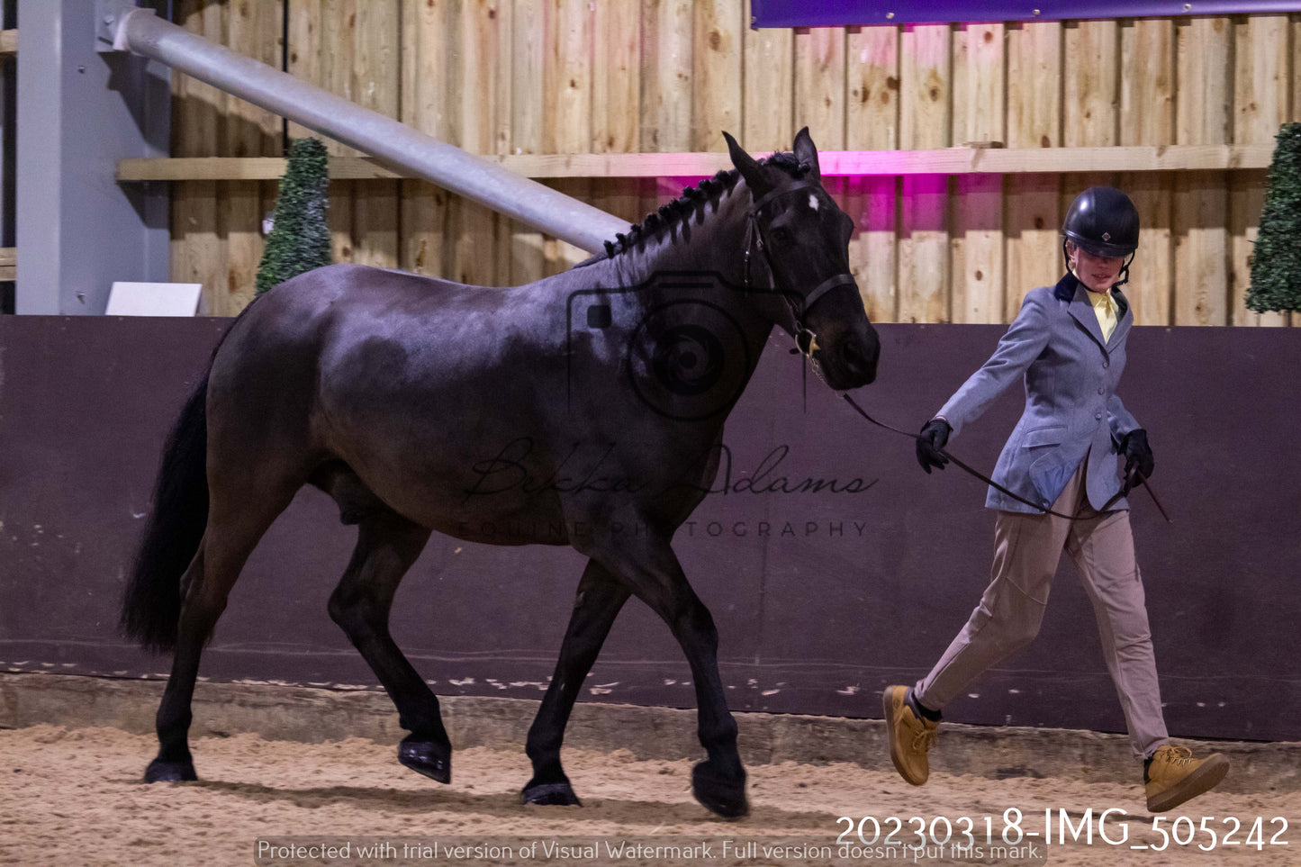 Home Farm Showing 18th March (Inhand)