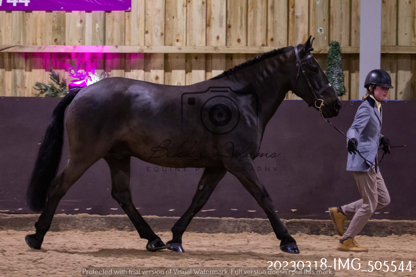 Home Farm Showing 18th March (Inhand)