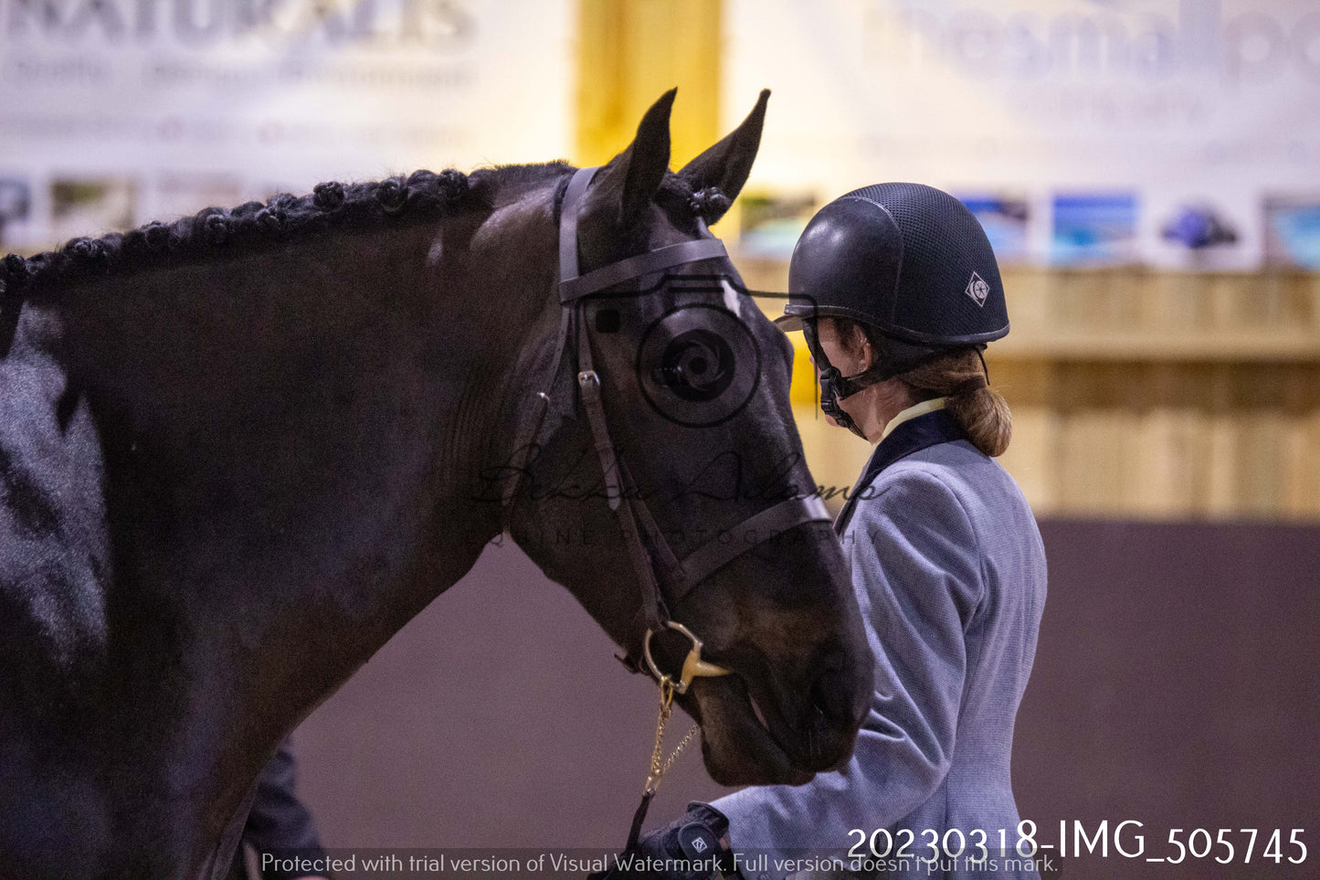 Home Farm Showing 18th March (Inhand)
