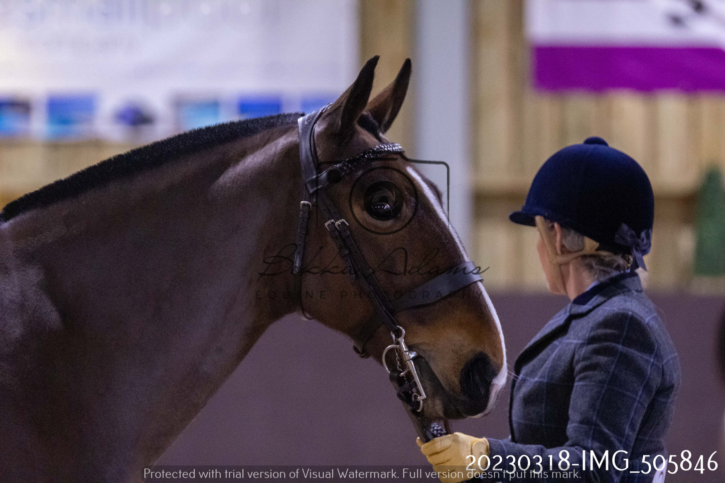 Home Farm Showing 18th March (Inhand)