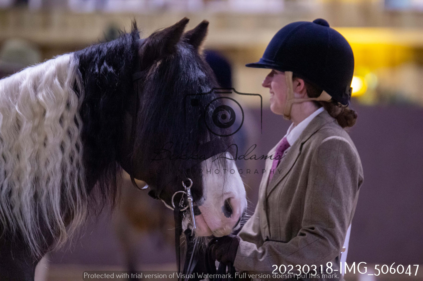 Home Farm Showing 18th March (Inhand)