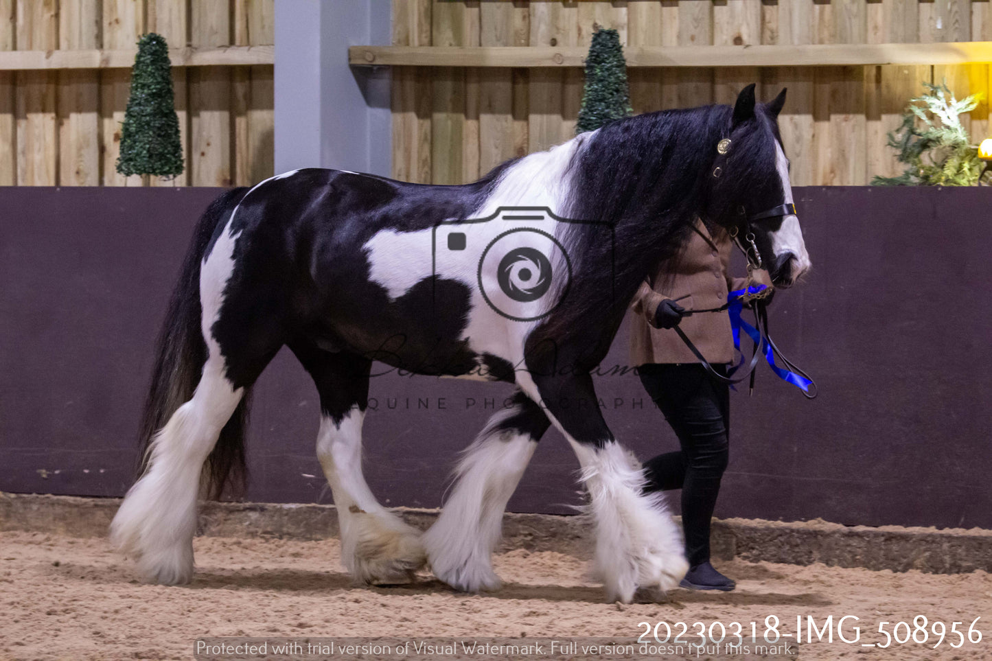 Home Farm Showing 18th March (Inhand)