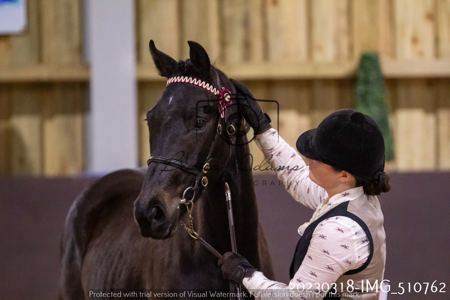 Home Farm Showing 18th March (Inhand)