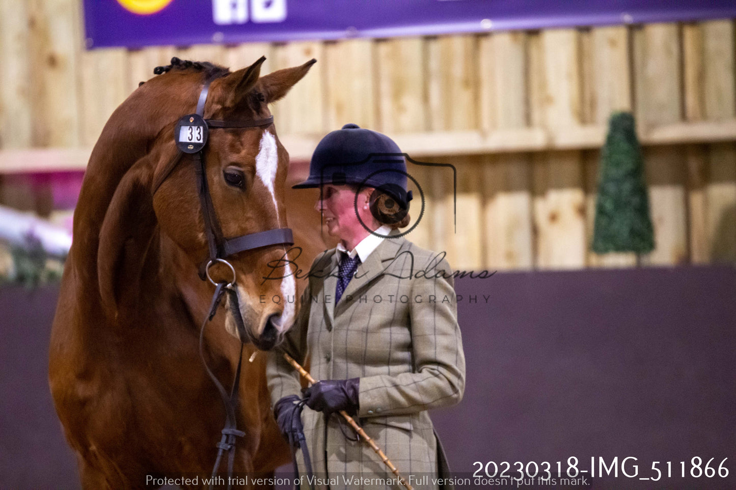 Home Farm Showing 18th March (Inhand)