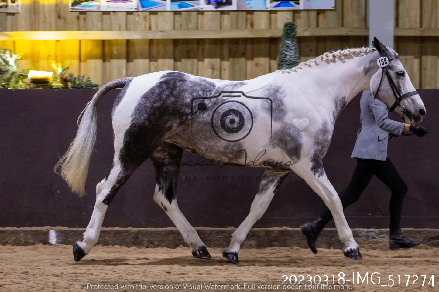 Home Farm Showing 18th March (Inhand)