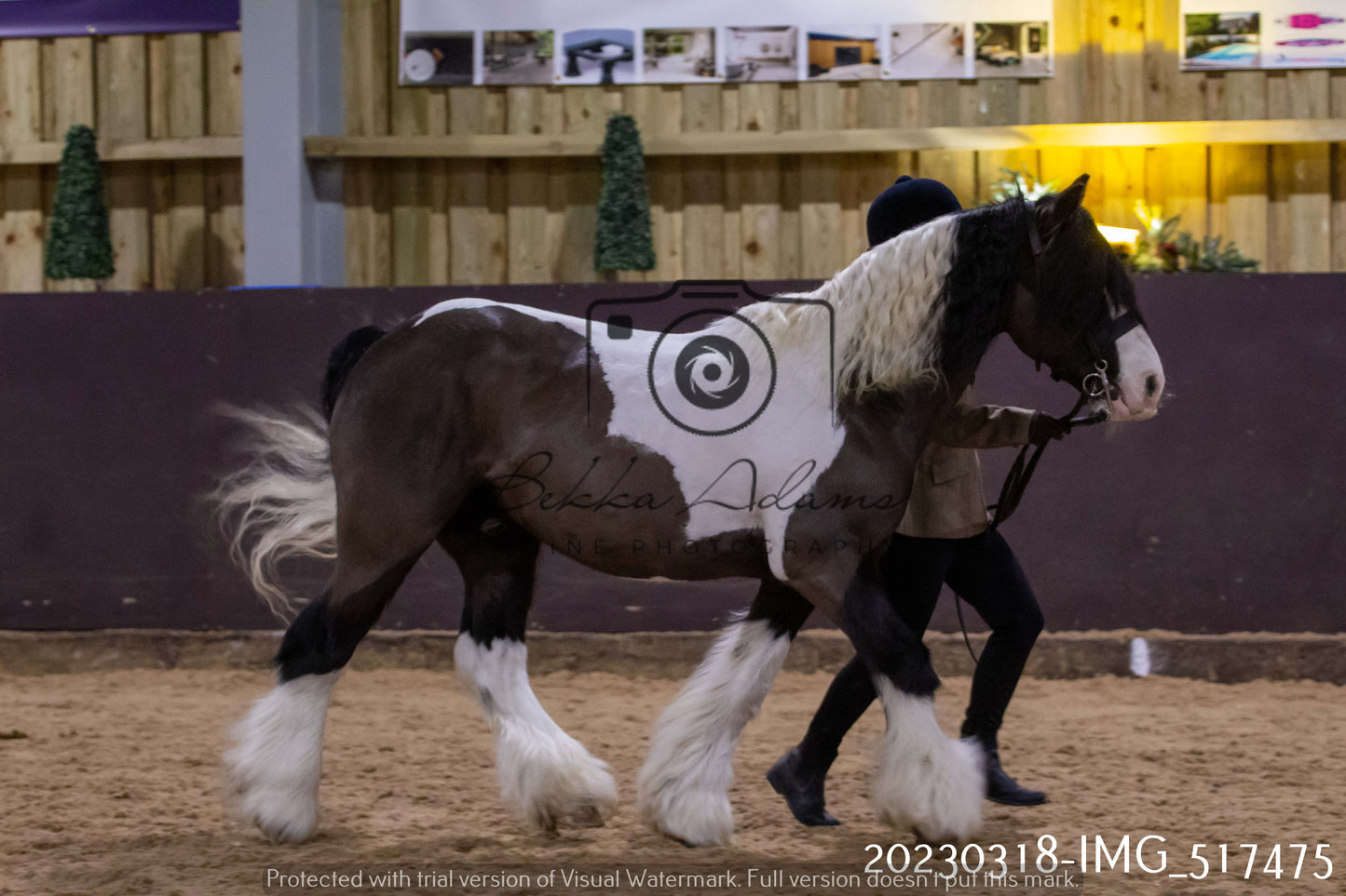 Home Farm Showing 18th March (Inhand)