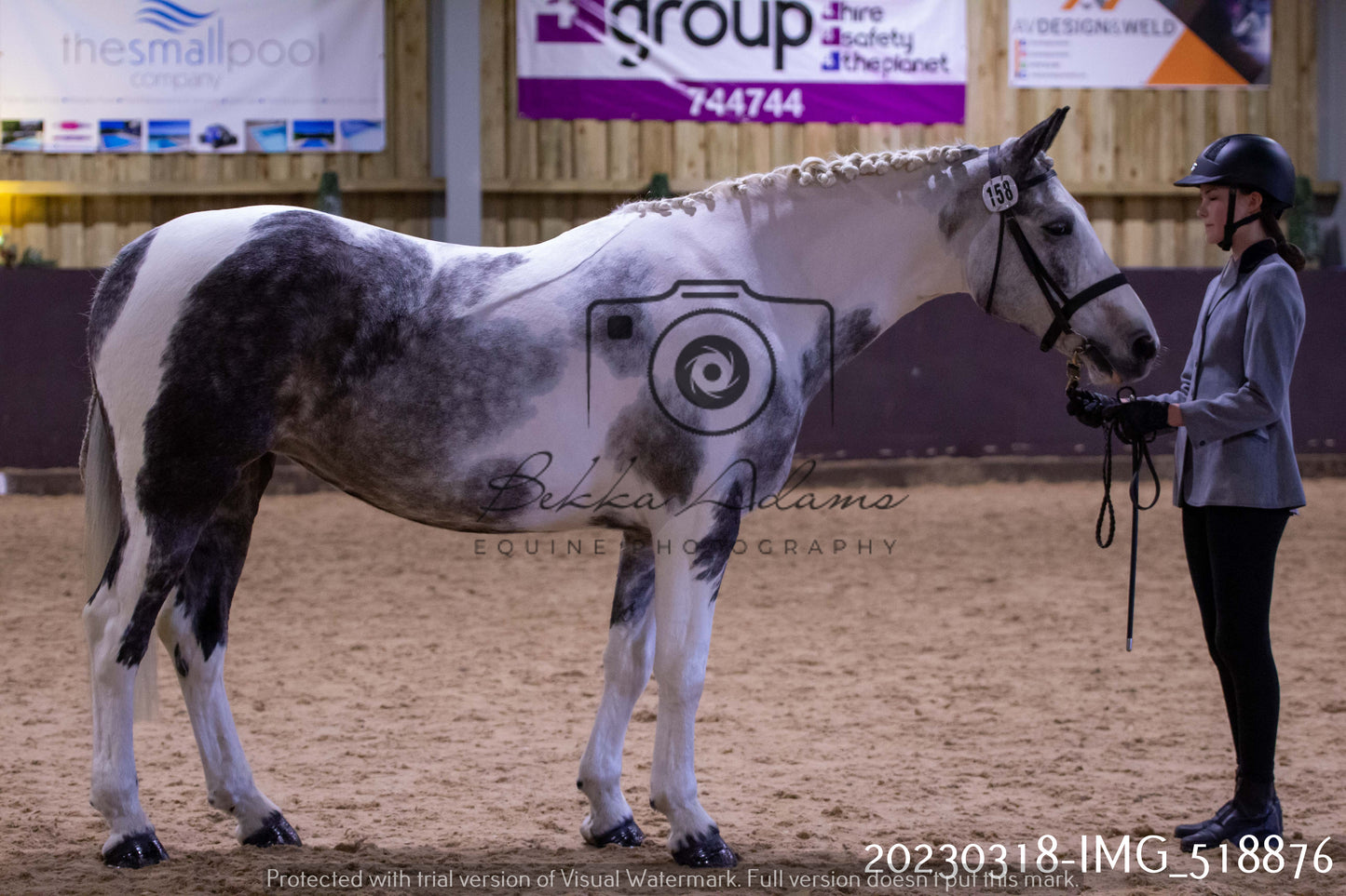 Home Farm Showing 18th March (Inhand)