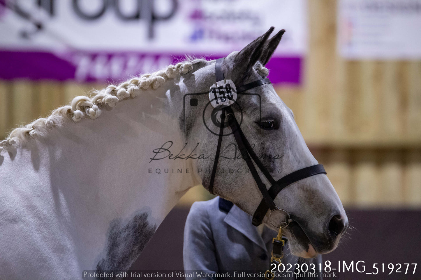 Home Farm Showing 18th March (Inhand)