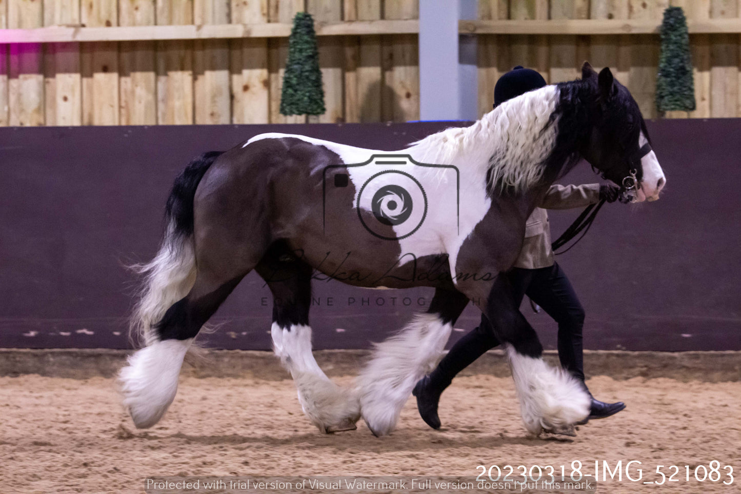 Home Farm Showing 18th March (Inhand)